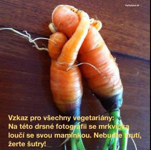 16306-0-odkaz-pre-vegetarianov